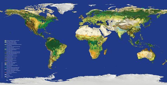 欧航局公布最新版世界卫星地图 分辨率达300米