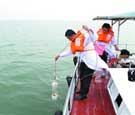 环保部利用遥感卫星监测胶州湾水环境