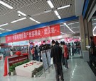 2011GIS招聘会武汉站圆满结束 吸引外资企业纳贤才
