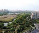 上海借助遥感技术摸清湿地生态环境现状
