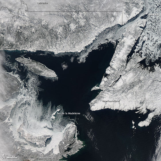 每日卫星照：加拿大圣劳伦斯湾海冰