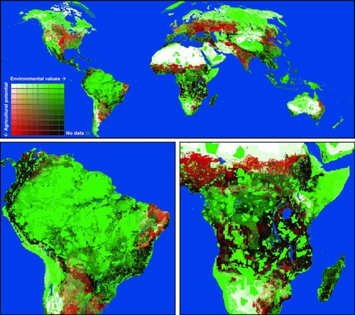 “全球公路建设地图”描绘自然与发展矛盾