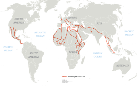 五幅图看世界上最拥挤的移民之路