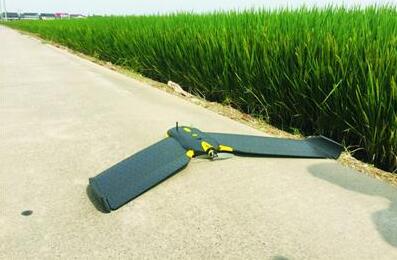 上海第三次农业普查告别手工作业，出动无人机