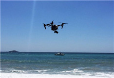 澳大利亚用无人机监视鲨鱼，确保弄潮儿和游客安全