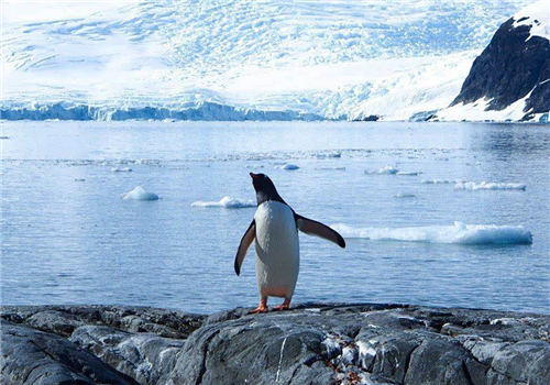 我国科学家主导完成南极冰盖最大认知空白区的探测