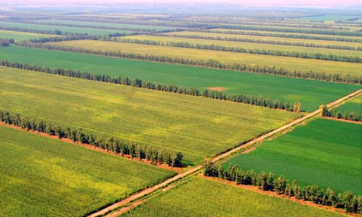 美国发布全球农田30米高分地图