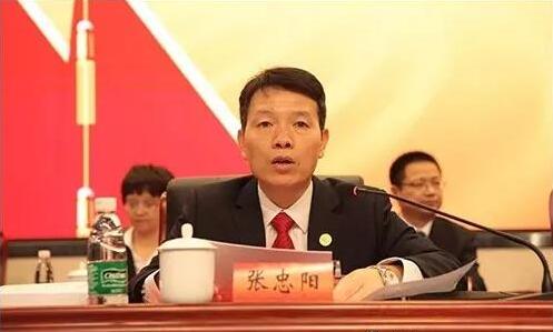 张忠阳：中国“虹云工程”将于2022年完成部署