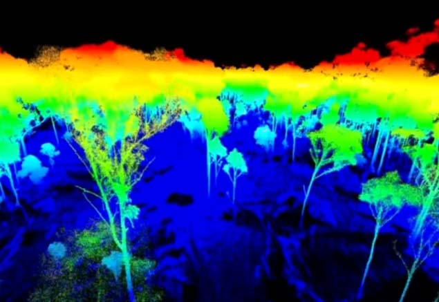 森林的生态量估算，RIEGL激光雷达提供新思路