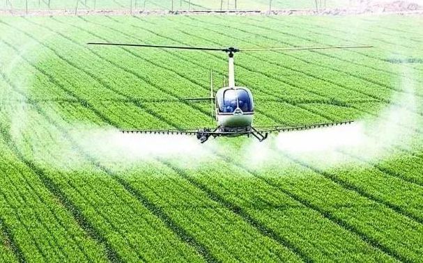 无人机、芯片、传感器……智慧农业能否助力海水稻大面积高产？