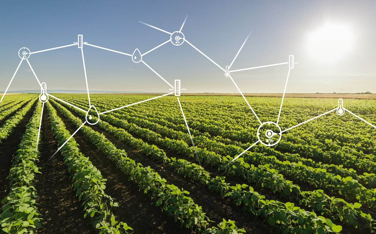 两部门印发数字农业农村发展规划：建设天空地一体化观测网络