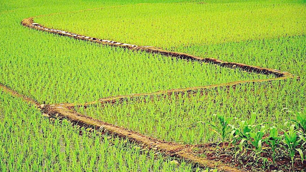 自然资源部：海南永久基本农田保护规定3月起实施
