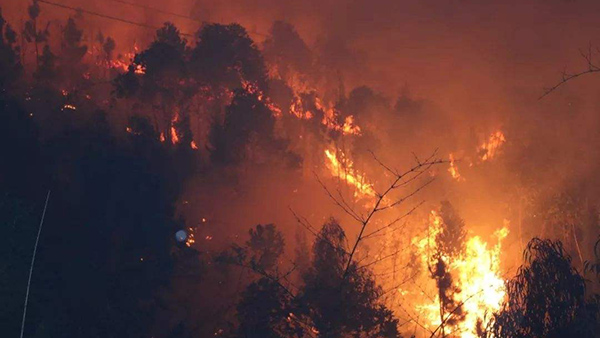 国家林草局督促落实森林防火行政首长责任制，强化“天空地”一体化监测