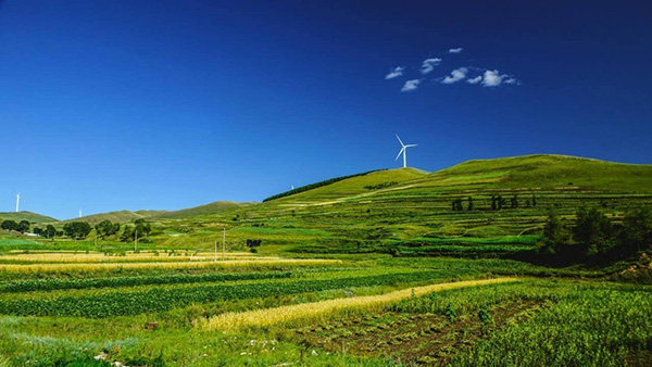 打造京津冀生态环境支撑区　河北2022年将建立基本草原保护制度