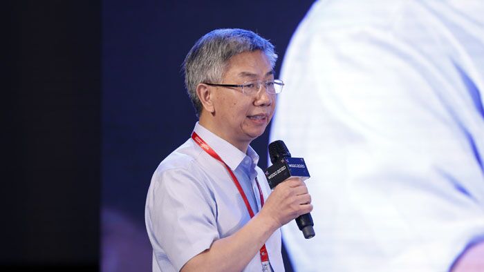 WGDC 2020 |中国自然资源航空物探遥感中心首席科学家熊盛青：构建空天地协同的地球系统探测、观测和监测体系
