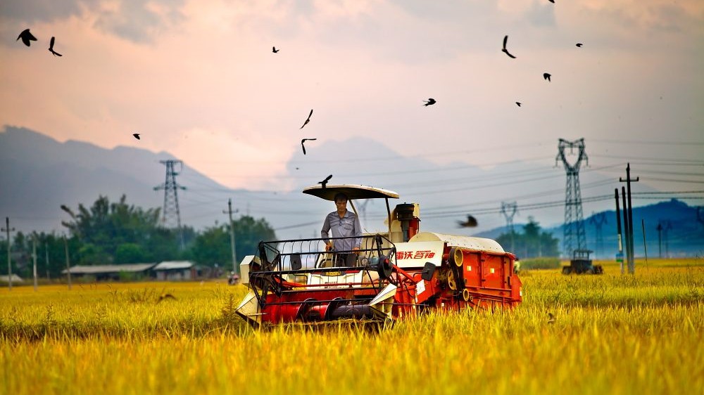 中国农业科学院资划所主持完成三项农业遥感农业行业标准