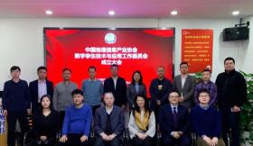 中国地理信息产业协会数字孪生技术与应用工作委员会成立，泰瑞数创担纲主任委员