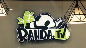 王思聪关联公司熊猫互娱再成被执行人 执行标的超28万