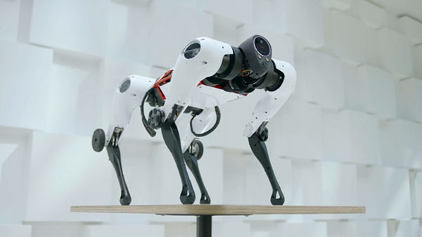 腾讯正式发布首个全自研多模态四足机器人