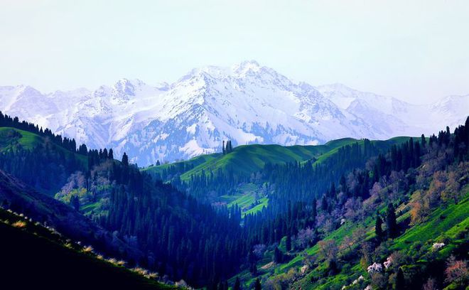 新疆自然资源信息化“十四五”规划发布