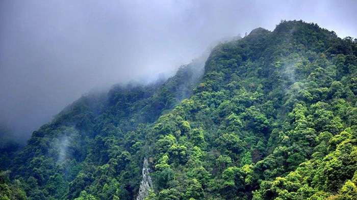 中国地质调查局4人在云南哀牢山作业时失联，当地正在搜救